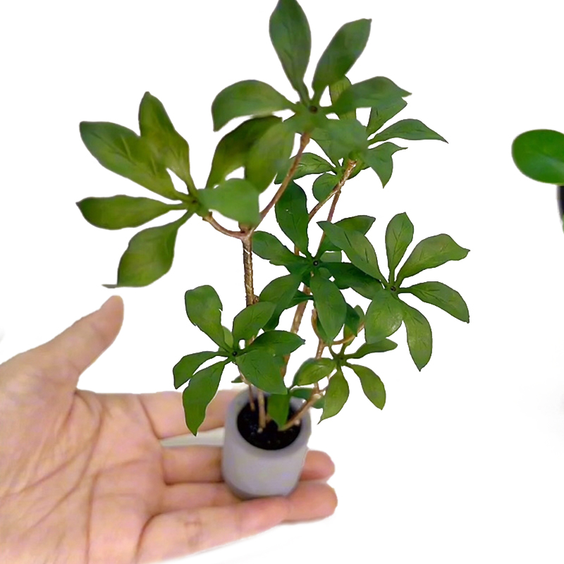 Smart Garden Mini - 1:6 Dollhouse Miniature Potted Plants Model
