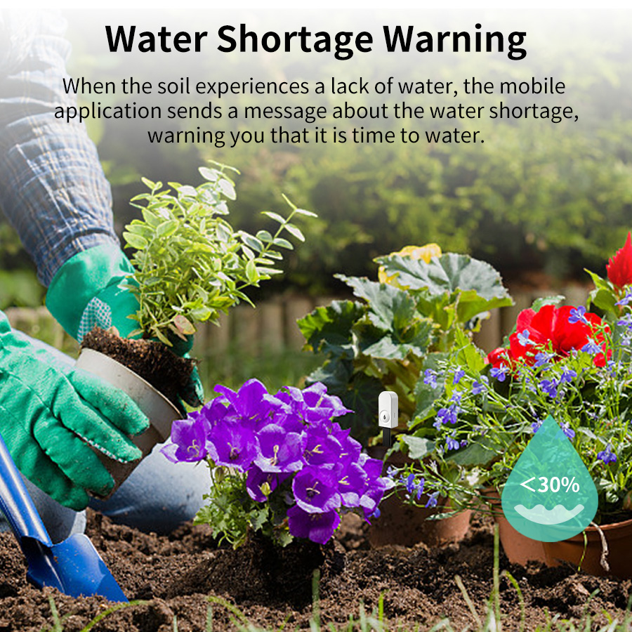 Smart ZigBee Soil Moisture Sen - Smart Garden Monitor review and price