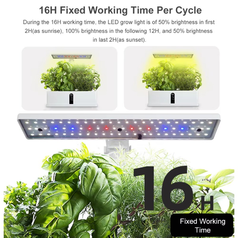 9 Pods Smart Hydroponics Growi - Smart Garden Is review and price