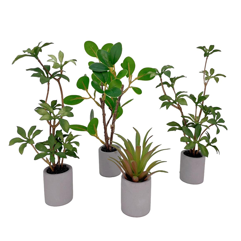 1:6 Dollhouse Miniature Potted - Smart Garden Mini review and price