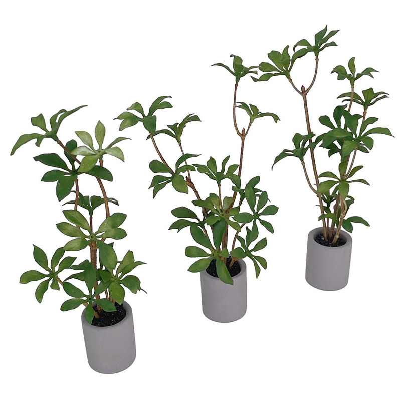 1:6 Dollhouse Miniature Potted - Smart Garden Mini review and price