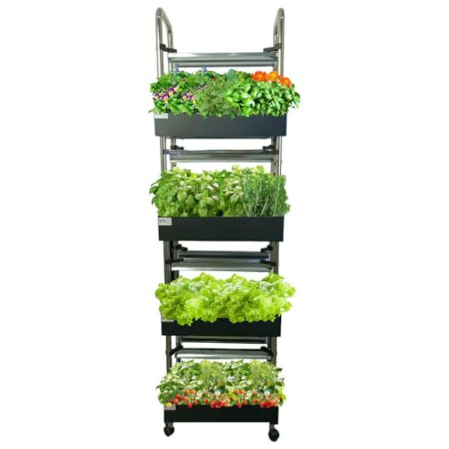 Indoor hydroponics growing sys - Smart Garden Light review and price