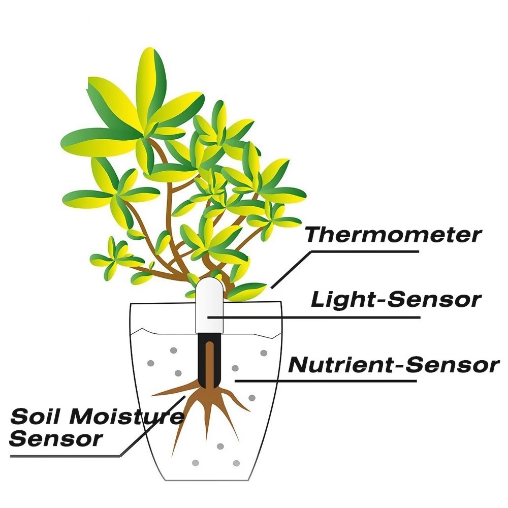 HHCC Flower Monitor Flora Gard - Smart Garden Monitor review and price