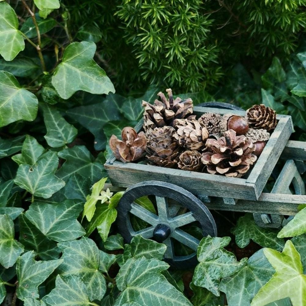 High Quality 1:12 Scale Dollho - Smart Garden Mini review and price