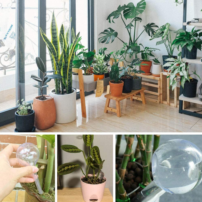 5/10PCS Automatic Plant Wateri - Smart Garden Monitor review and price